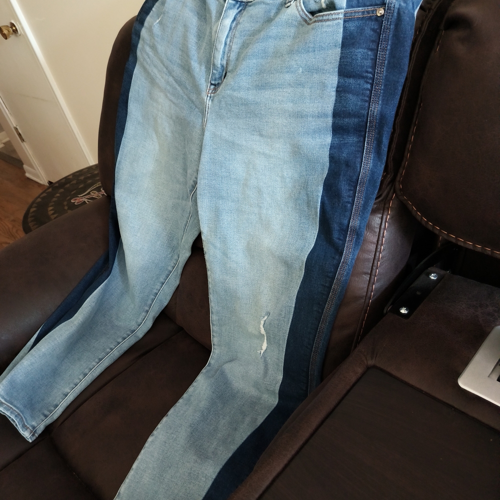 Lane Bryant Blue and Navy Skinny Jeans